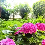 Dream Apartment Con Giardino