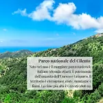 Homebiagino-Scario