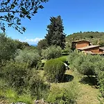 Beautiful Villa In Monte Argentario