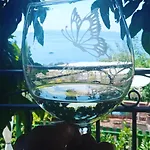 B&B Mariposa
