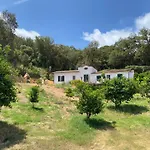 C'Era Una Volta