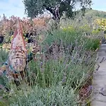 Villa La Provenzale