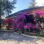 Villa Vitiello Quadrupla