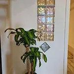 Cisterna - Loft Con Giardino