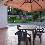 Dream Garden
