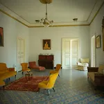 Palazzo Falletti