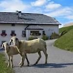 Larjei