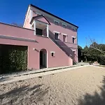Rosa Nel Verde - Vista D'Amare