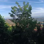 Appartamenti Dei Conti
