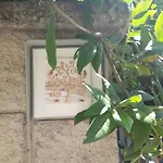 Via Buonarroti
