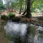 La Casetta Sotto L'Albero La Carovana Gitana