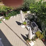 Le Ortensie