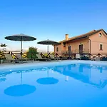Dominella 3