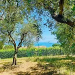 Villa In Collina Vista Mare