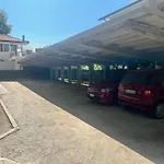 Hotel Carol
