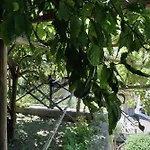 Aquarius Maiori B&B