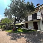 Relax In The Olive Grove