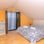 Dominella 3