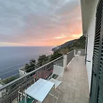 Ulivo Blu