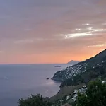 Ulivo Blu