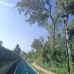 Le Dune E Il Gabbiano
