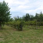 Appartamento Residence I Vigneti