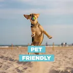 On The Beach 311