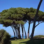 Appartamento Per Vacanze O Weekend In Toscana