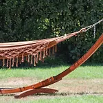 Vacuna Signature