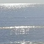 Nice Days