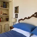 Palatonella
