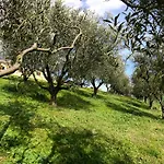 Historic House With Pool And Ac In Senigallia