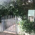 Un Nido Nel Verde