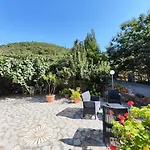 Il Vigneto