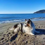 Casadagiova - Appartamento A Un Passo Dal Mare
