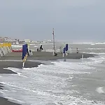 Ippocampo