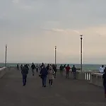 Ippocampo