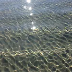 Wonderful Front Sea