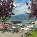 Rose Gialla Firsia Garten Ferienwohnung Eg