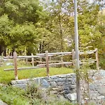 Sogno Di Bosco Innevato