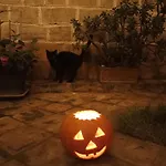 Bellofatto