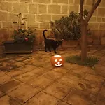 Bellofatto