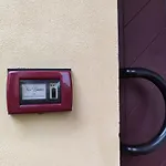 Fico Bianco
