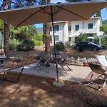 Riccio Di Mare