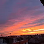 Mirasole