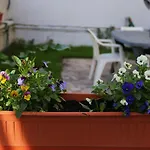 La Dolce Vita