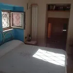 Isola Felice Appartamento A Napoli