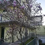 La Magnolia Di Ravenna