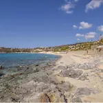 Il Papavero