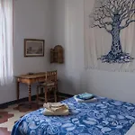 Art Studio In Pisa